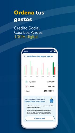 Tapp de Caja Los Andes — captura 2